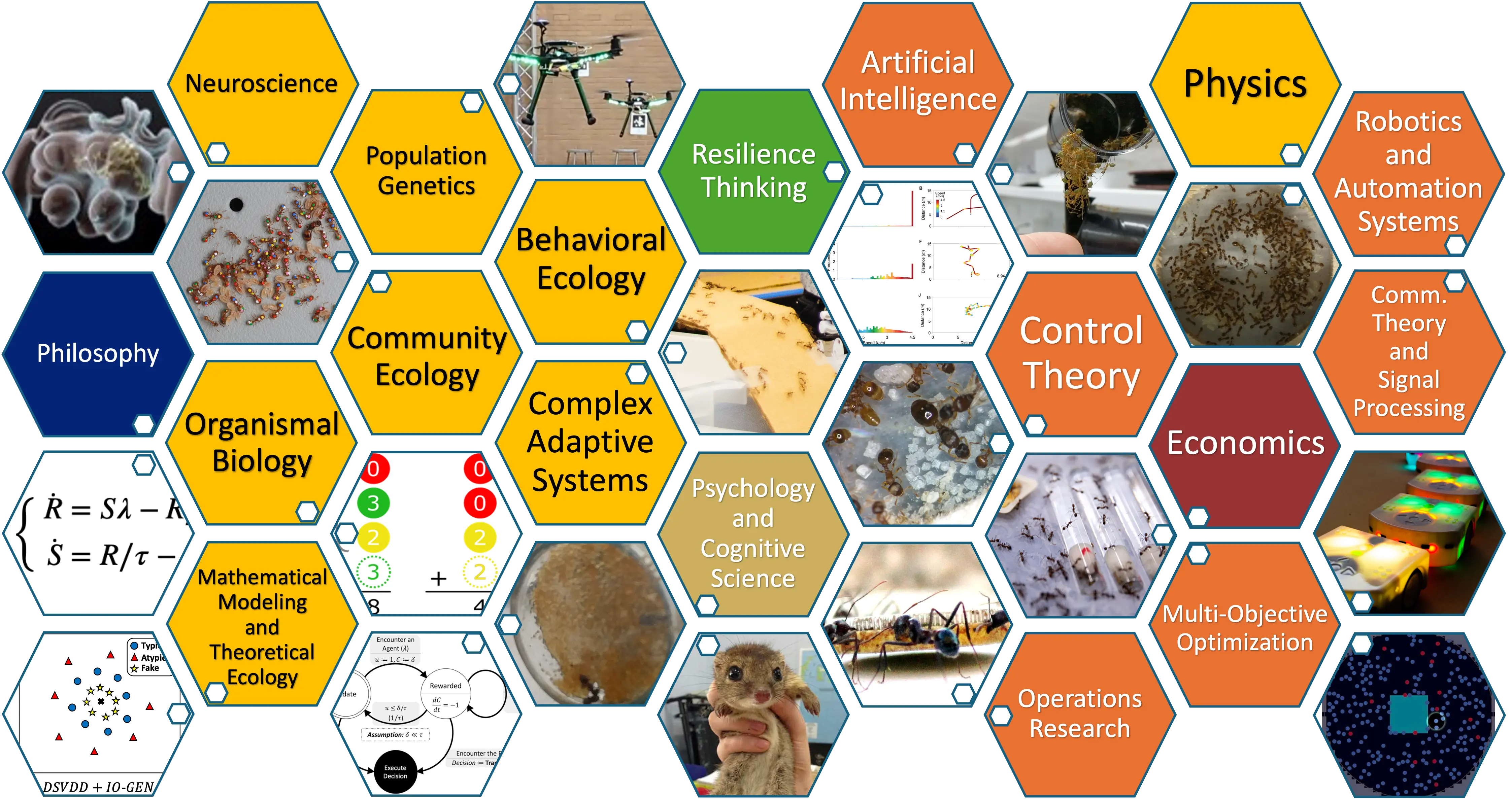 Honeycomb-style grid with multi-colored cells that each either have a discipline represented in the lab or an image related to lab projects. Disciplines reflected include Control Theory, Robotics and Automation Systems, Economics, Behavioral Ecology, Organismal Biology, Mathematical Modeling and Theoretical Ecology, Resilience Thinking, and many more.